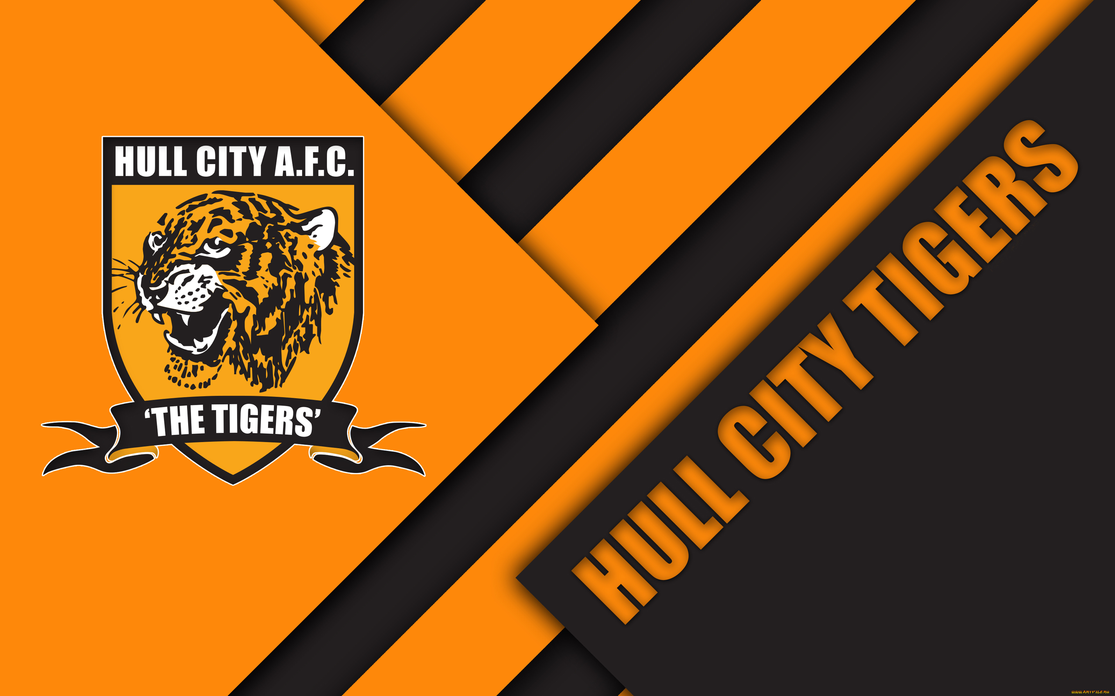 Hull city